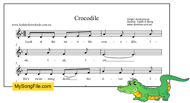 Crocodile